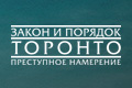 ����� � ������� �������: ���������� ���������