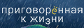 ������������ � �����