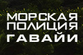 ������� �������: ������
