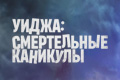 �����: ����������� ��������