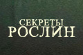 ������� ������