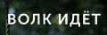 ���� ���
