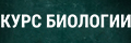 ���� ��������